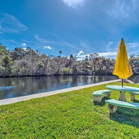 Withlacoochee River House With Dock And Kayaks! Yankeetown Exterior photo